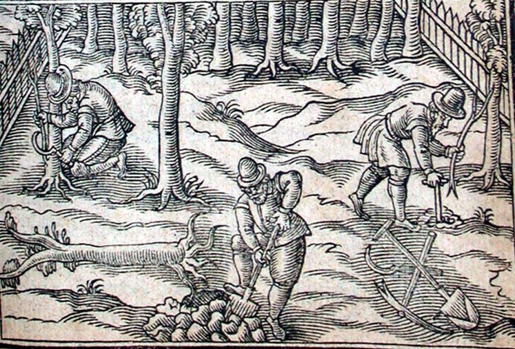 There are three men digging and planting trees. One is stood front and centre and is digging up a tree, one is stood behind to the left and holding a sickle to the tree, one is stood to the right planting a tree. In the background there are trees surrounded by a garden fence.