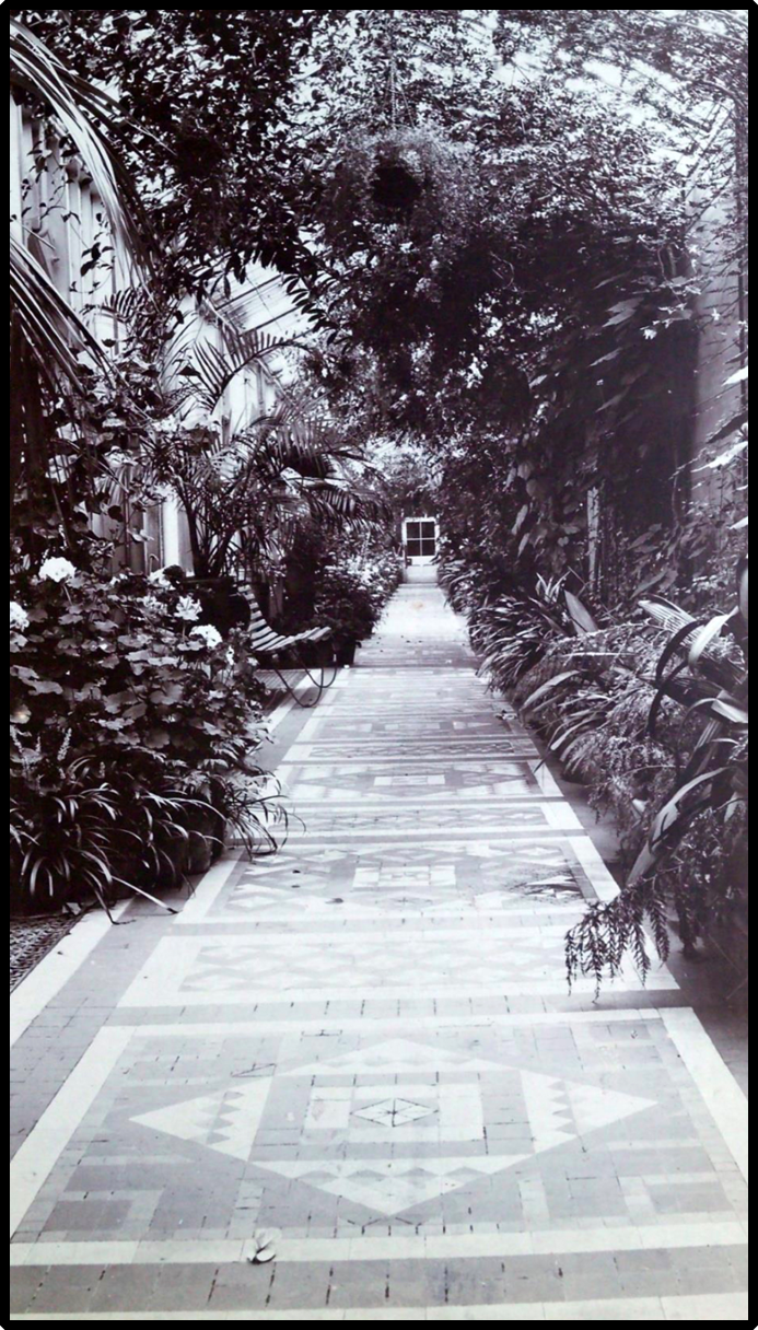 Black and white photograph of the inside of a glasshouse. A tiled path is in the centre and a bench is to the left of the shot. Foliage and plants grow on either side of the path and up to the roof.