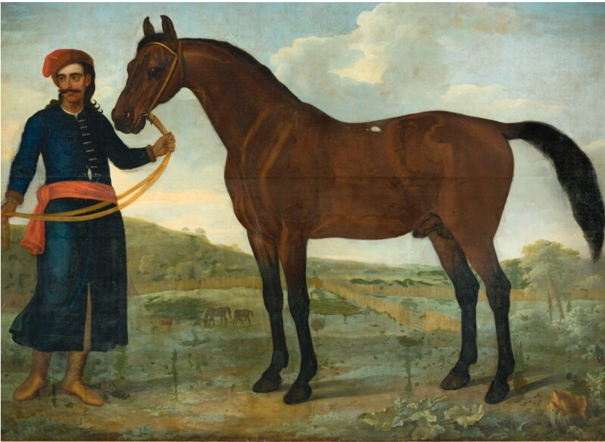 Coloured painting of a large dark brown horse - the Byerley Turk. To the left of the horse, holding yellow reigns suffixed on the horses head, is a handler in a long blue tunic, orange scarf waistband and orange hat, he has a moustache. The background is green plains and a cloudy blue sky.