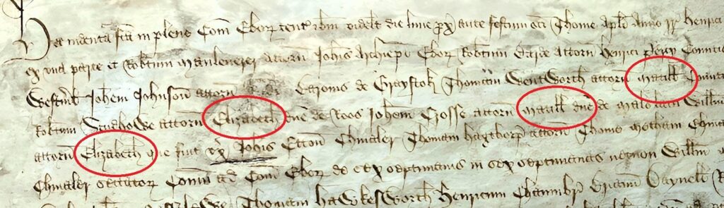 A section of a medieval document written in caligraphy. Four names of females are circled digitally in red. 